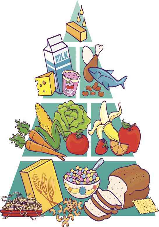 【科普促健康】是什么影响了你的免疫力？