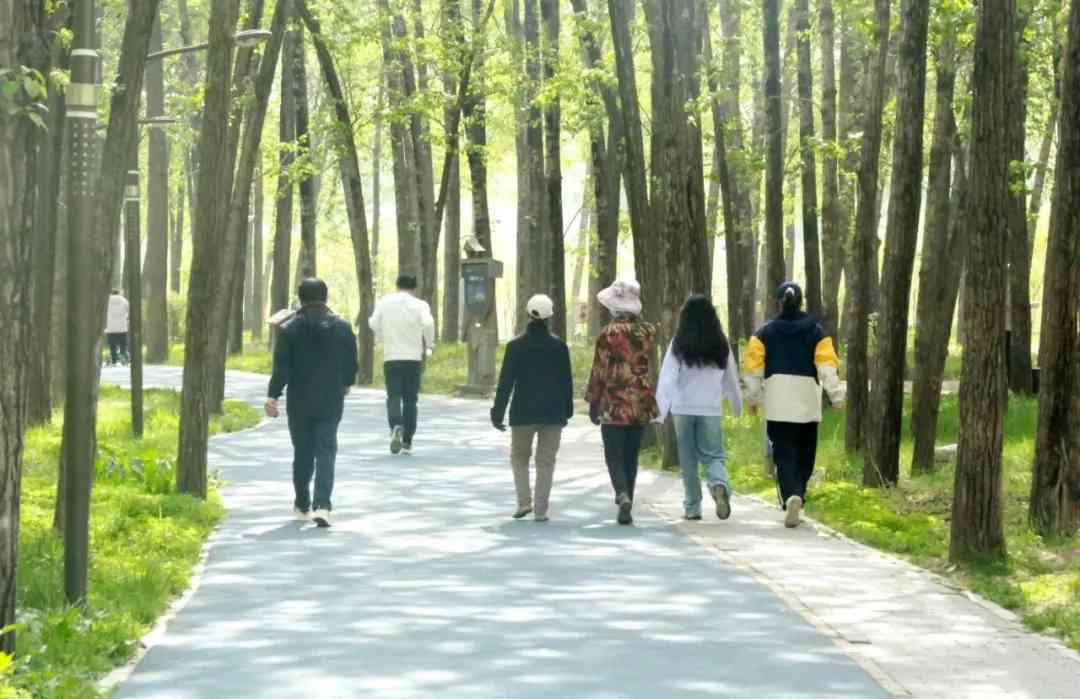 【庆祝建院60周年 · 风雨兼程六十载,凝心聚力谱新篇】艳照门
开展徒步活动